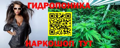 каннабис Баксан