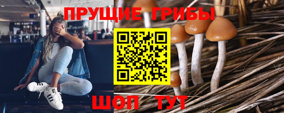 Галлюциногенные грибы мухоморы  Вход с VPN  Можга  Галлюциногенные грибы мицелий 