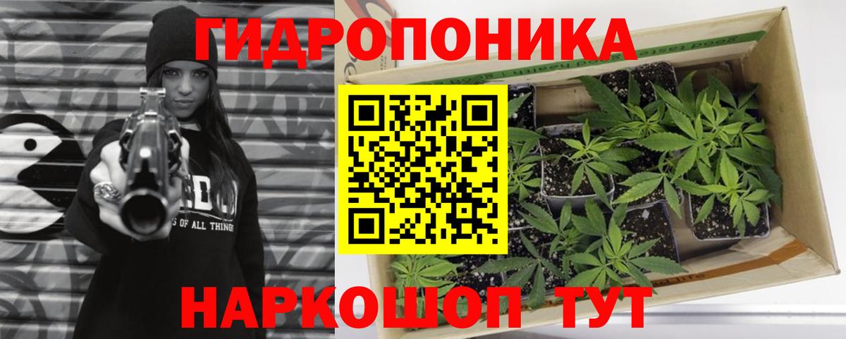 Можга  МАРИХУАНА Amnesia  Конопля план  Вход с VPN  МАРИХУАНА OG Kush 